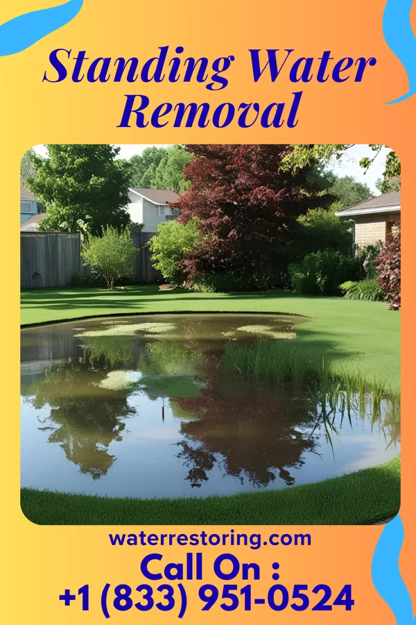 Standing Water Removal in Selman, OK